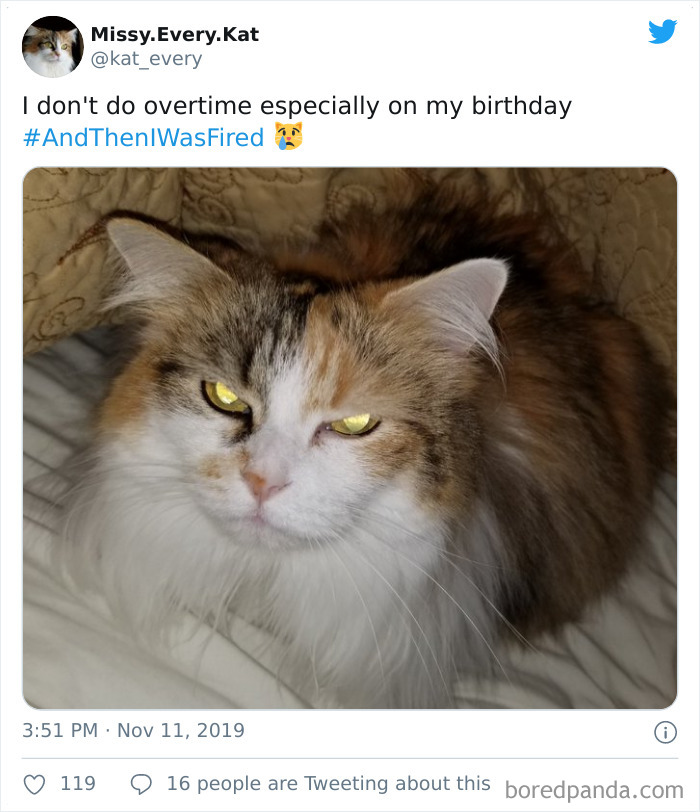 And Then I Was Fired Hashtag