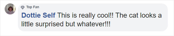 This Shelter Pit Bull Thinks He's A Cat, And His New Family Keeps Posting Photos That Prove It