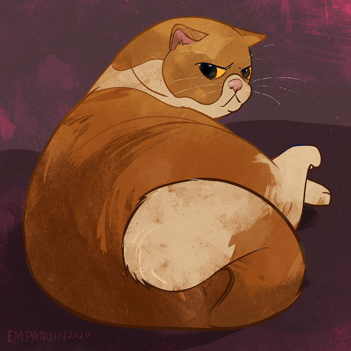 Drawing-Cats-Everyday-Em-Paquin