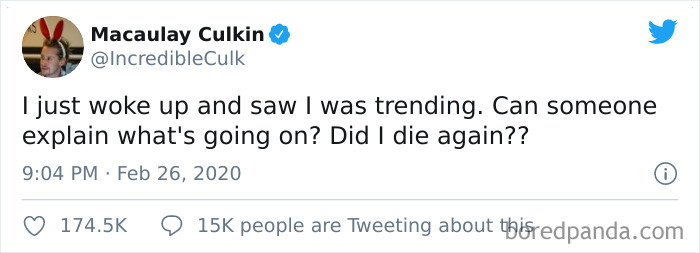 Funny-Tweets-Macualay-Culkin