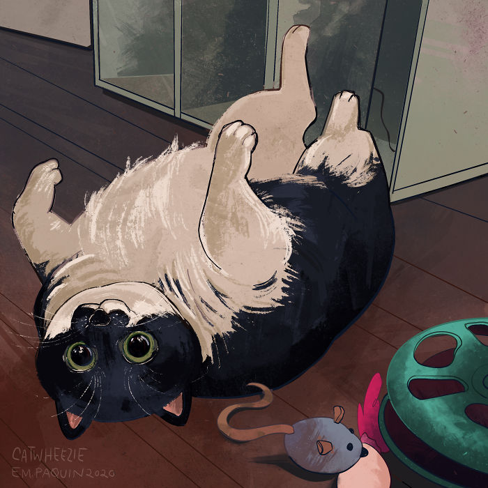 Drawing-Cats-Everyday-Em-Paquin