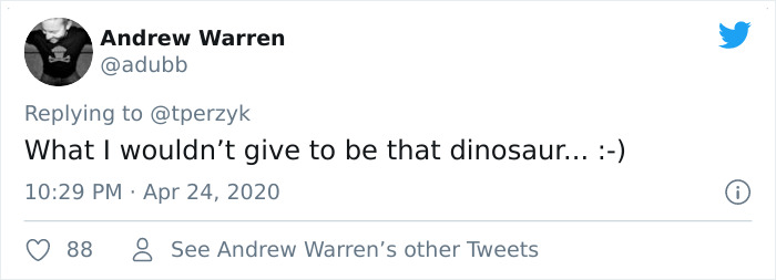 A Litter Of 4-Week-Old Goldies Get Mesmerized By A Dragon Reading Them A Bedtime Story A Litter Of 4-Week-Old Goldies Get Mesmerized By A Dragon Reading Them A Bedtime Story