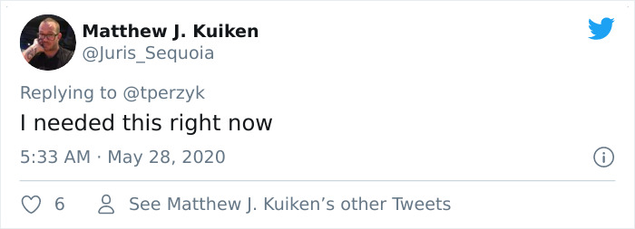 A Litter Of 4-Week-Old Goldies Get Mesmerized By A Dragon Reading Them A Bedtime Story A Litter Of 4-Week-Old Goldies Get Mesmerized By A Dragon Reading Them A Bedtime Story