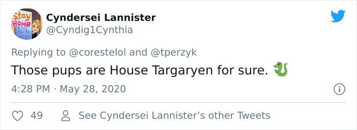 A Litter Of 4-Week-Old Goldies Get Mesmerized By A Dragon Reading Them A Bedtime Story A Litter Of 4-Week-Old Goldies Get Mesmerized By A Dragon Reading Them A Bedtime Story