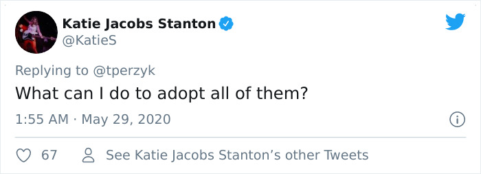 A Litter Of 4-Week-Old Goldies Get Mesmerized By A Dragon Reading Them A Bedtime Story A Litter Of 4-Week-Old Goldies Get Mesmerized By A Dragon Reading Them A Bedtime Story