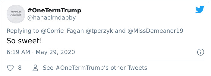 A Litter Of 4-Week-Old Goldies Get Mesmerized By A Dragon Reading Them A Bedtime Story A Litter Of 4-Week-Old Goldies Get Mesmerized By A Dragon Reading Them A Bedtime Story