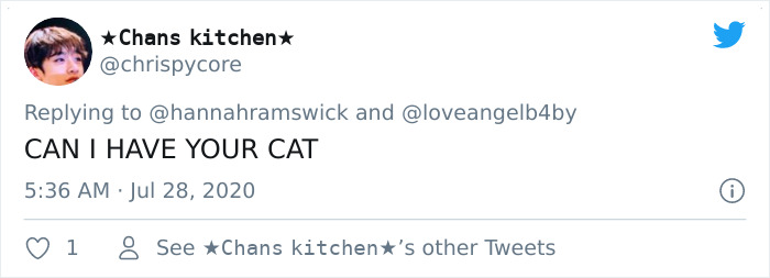 This Curly Haired 17-Year-Old Cat Looks Like He's Seen Some Stuff This Curly Haired 17-Year-Old Cat Looks Like He's Seen Some Stuff