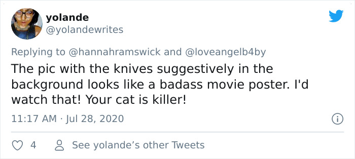 This Curly Haired 17-Year-Old Cat Looks Like He's Seen Some Stuff This Curly Haired 17-Year-Old Cat Looks Like He's Seen Some Stuff