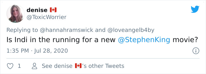 This Curly Haired 17-Year-Old Cat Looks Like He's Seen Some Stuff This Curly Haired 17-Year-Old Cat Looks Like He's Seen Some Stuff