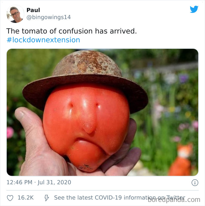 It Looks Exactly Like Larry Bird