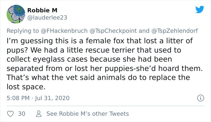 Fox From Berlin Gets Unmasked As A Crocs-Thief With A Collection Of Over 100 Stolen Shoes And People Find It Hilarious