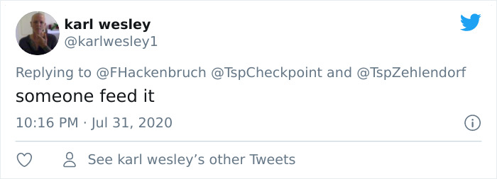 Fox From Berlin Gets Unmasked As A Crocs-Thief With A Collection Of Over 100 Stolen Shoes And People Find It Hilarious