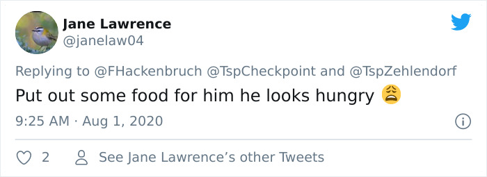 Fox From Berlin Gets Unmasked As A Crocs-Thief With A Collection Of Over 100 Stolen Shoes And People Find It Hilarious