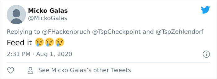 Fox From Berlin Gets Unmasked As A Crocs-Thief With A Collection Of Over 100 Stolen Shoes And People Find It Hilarious