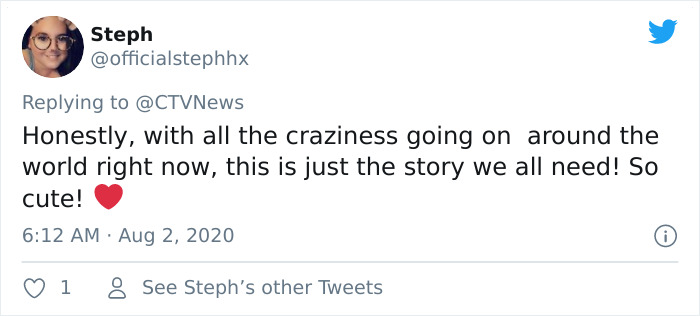 Fox From Berlin Gets Unmasked As A Crocs-Thief With A Collection Of Over 100 Stolen Shoes And People Find It Hilarious