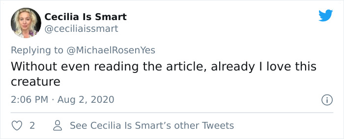 Fox From Berlin Gets Unmasked As A Crocs-Thief With A Collection Of Over 100 Stolen Shoes And People Find It Hilarious