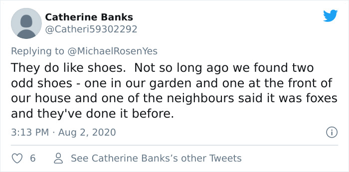 Fox From Berlin Gets Unmasked As A Crocs-Thief With A Collection Of Over 100 Stolen Shoes And People Find It Hilarious