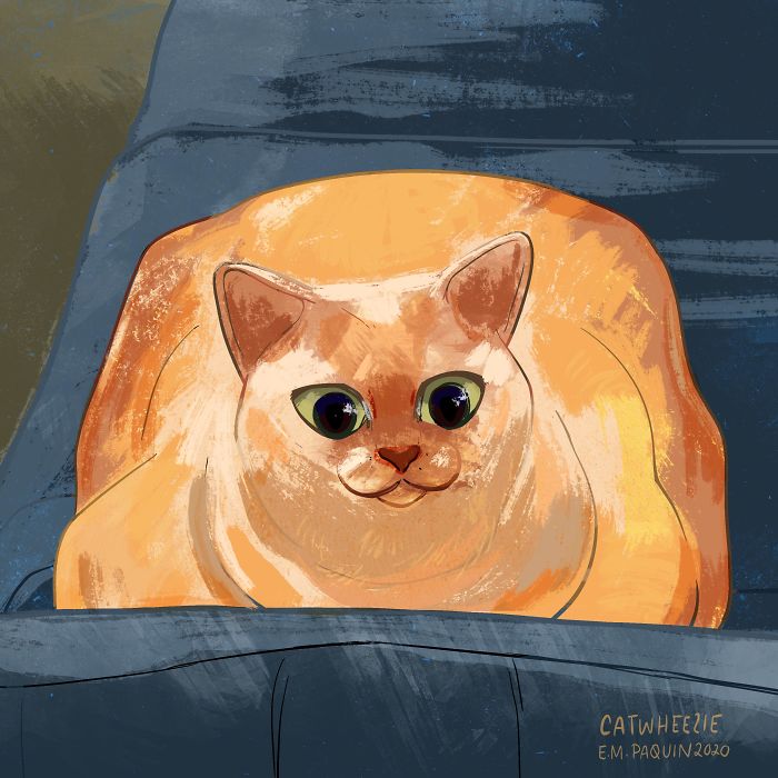 Drawing-Cats-Everyday-Em-Paquin