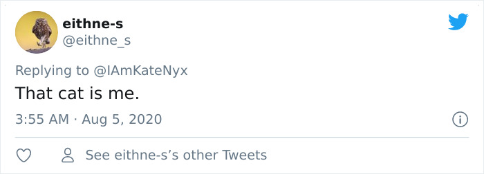 Cat Plays On A Tiny Piano To Inform His Owner When He’s Hungry