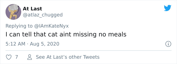 Cat Plays On A Tiny Piano To Inform His Owner When He’s Hungry