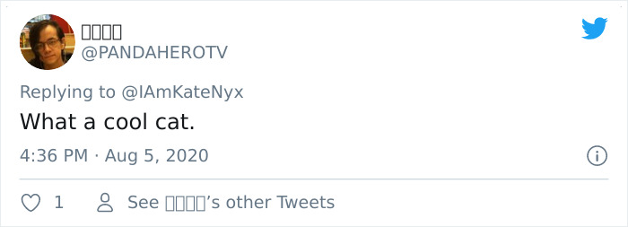 Cat Plays On A Tiny Piano To Inform His Owner When He’s Hungry