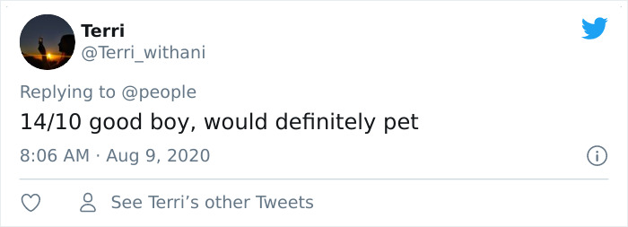 Police Dog Finds Missing Mother And Baby On His First Day At Work