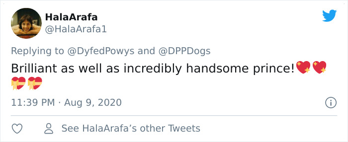 Police Dog Finds Missing Mother And Baby On His First Day At Work