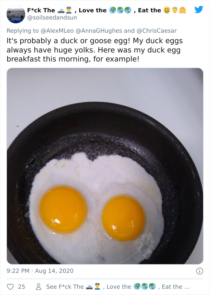 Quarantine-Eggs-Increasingly-Unsettling-Twitter