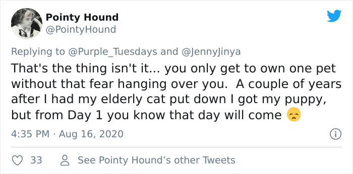 Artist Who Made People Cry With Her Grim Reaper Animal Comics Is Back, And This Time It’s About Seeing Your Dog Being Put To Sleep