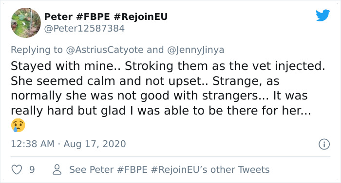 Artist Who Made People Cry With Her Grim Reaper Animal Comics Is Back, And This Time It’s About Seeing Your Dog Being Put To Sleep