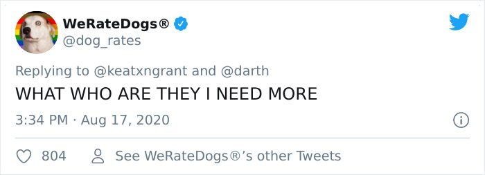 Fluffy Poodle Is Going Viral For Its Human-Like Expressions Fluffy Poodle Is Going Viral For Its Human-Like Expressions