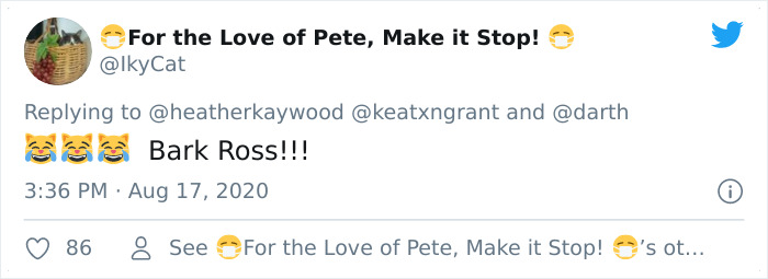 Fluffy Poodle Is Going Viral For Its Human-Like Expressions Fluffy Poodle Is Going Viral For Its Human-Like Expressions