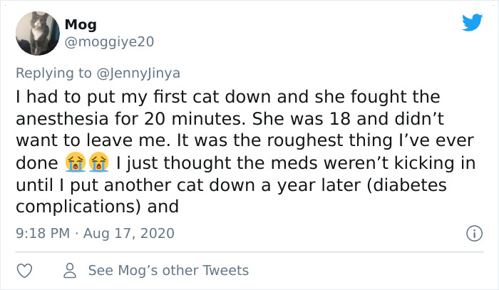 Artist Who Made People Cry With Her Grim Reaper Animal Comics Is Back, And This Time It’s About Seeing Your Dog Being Put To Sleep