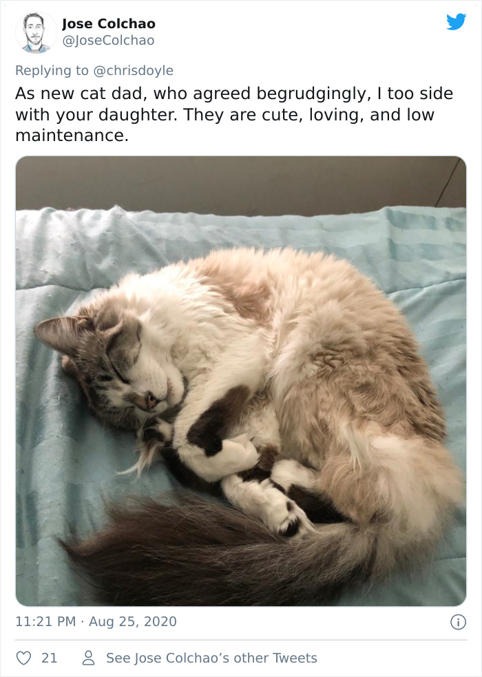 Canadian Girl Makes A PowerPoint To Convince Her Parents To Get A Cat, And It Goes Viral Canadian Girl Makes A PowerPoint To Convince Her Parents To Get A Cat, And It Goes Viral
