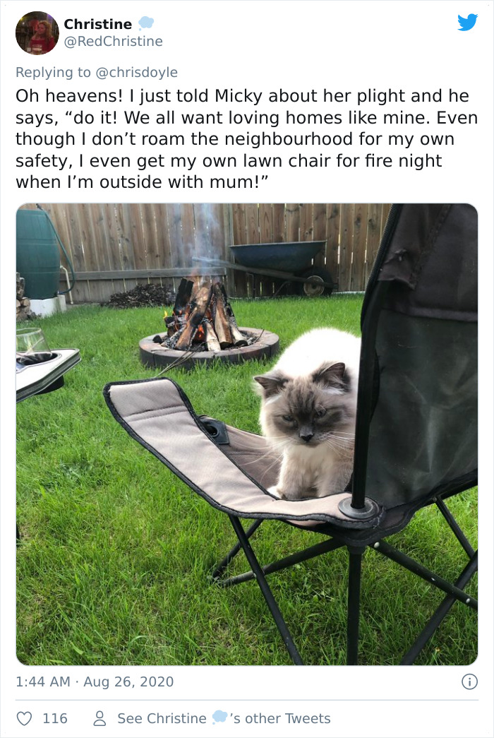 Canadian Girl Makes A PowerPoint To Convince Her Parents To Get A Cat, And It Goes Viral Canadian Girl Makes A PowerPoint To Convince Her Parents To Get A Cat, And It Goes Viral