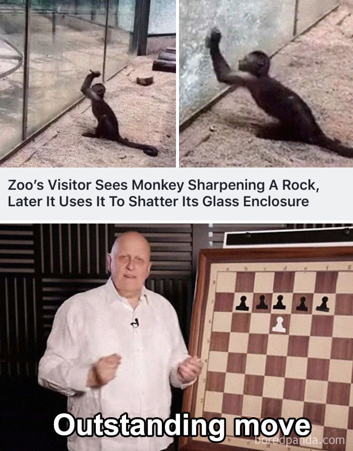 Outstanding-Move-Jokes