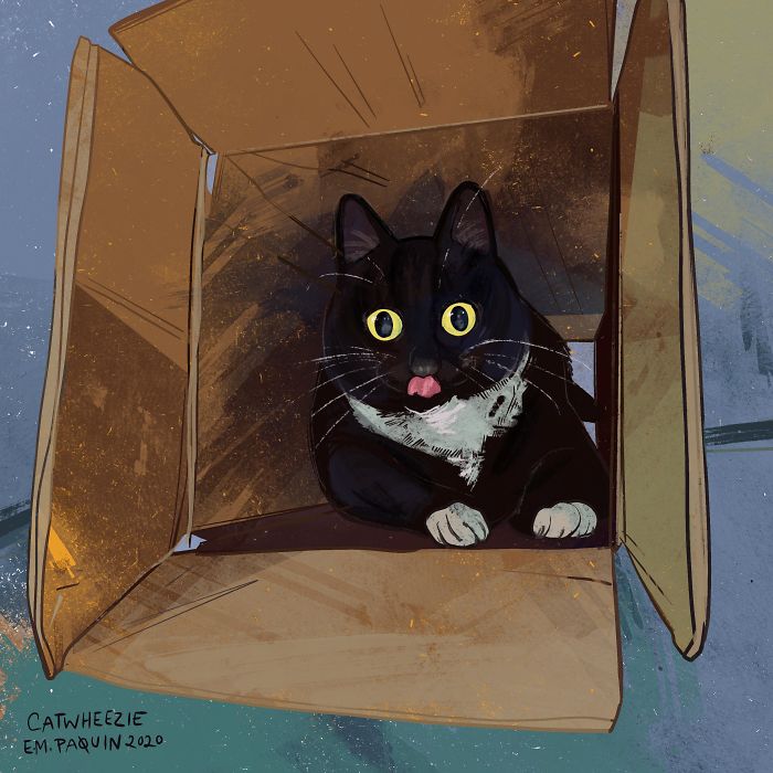 Drawing-Cats-Everyday-Em-Paquin