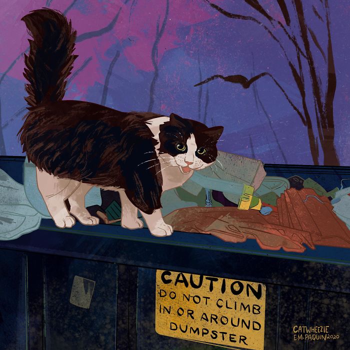 Drawing-Cats-Everyday-Em-Paquin