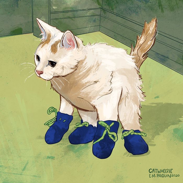 Drawing-Cats-Everyday-Em-Paquin