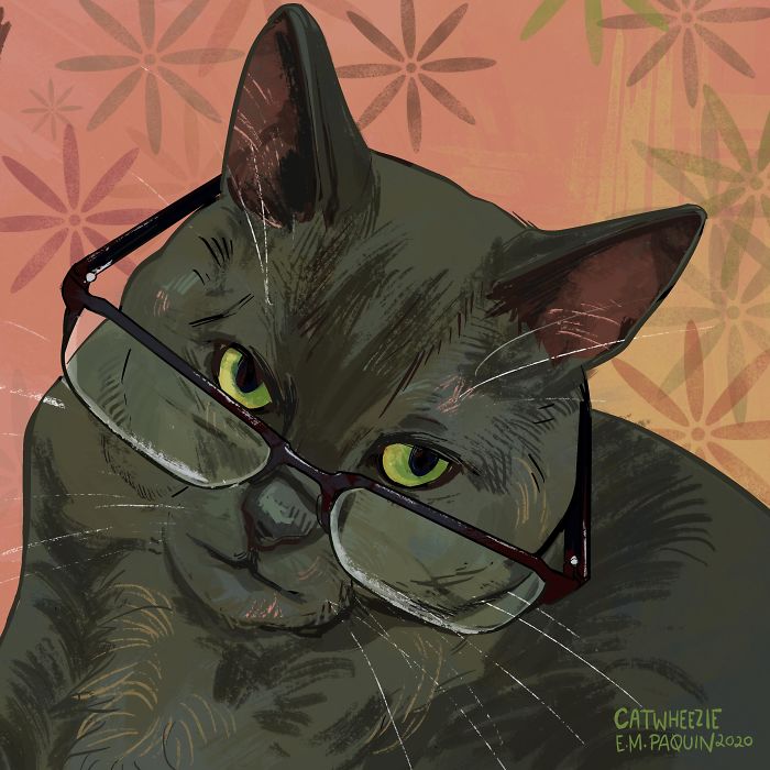 Drawing-Cats-Everyday-Em-Paquin