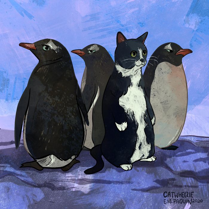 Drawing-Cats-Everyday-Em-Paquin