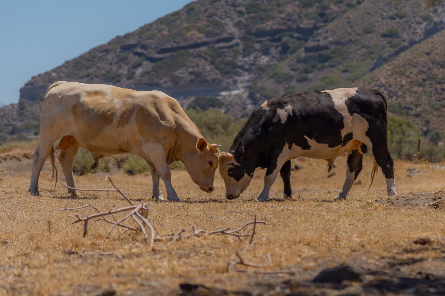 I Had An Opportunity To Visit The World's Largest Hydrothermal Crater (16 Pics)