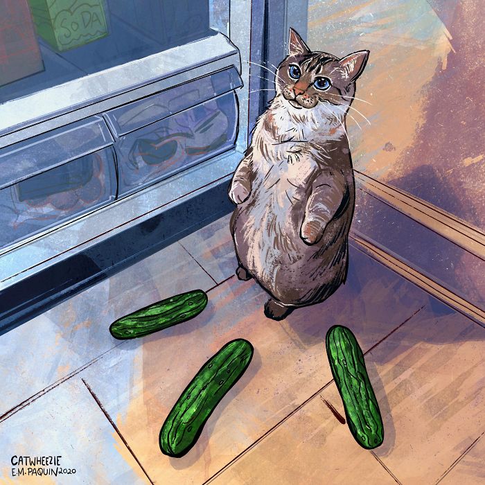 Drawing-Cats-Everyday-Em-Paquin