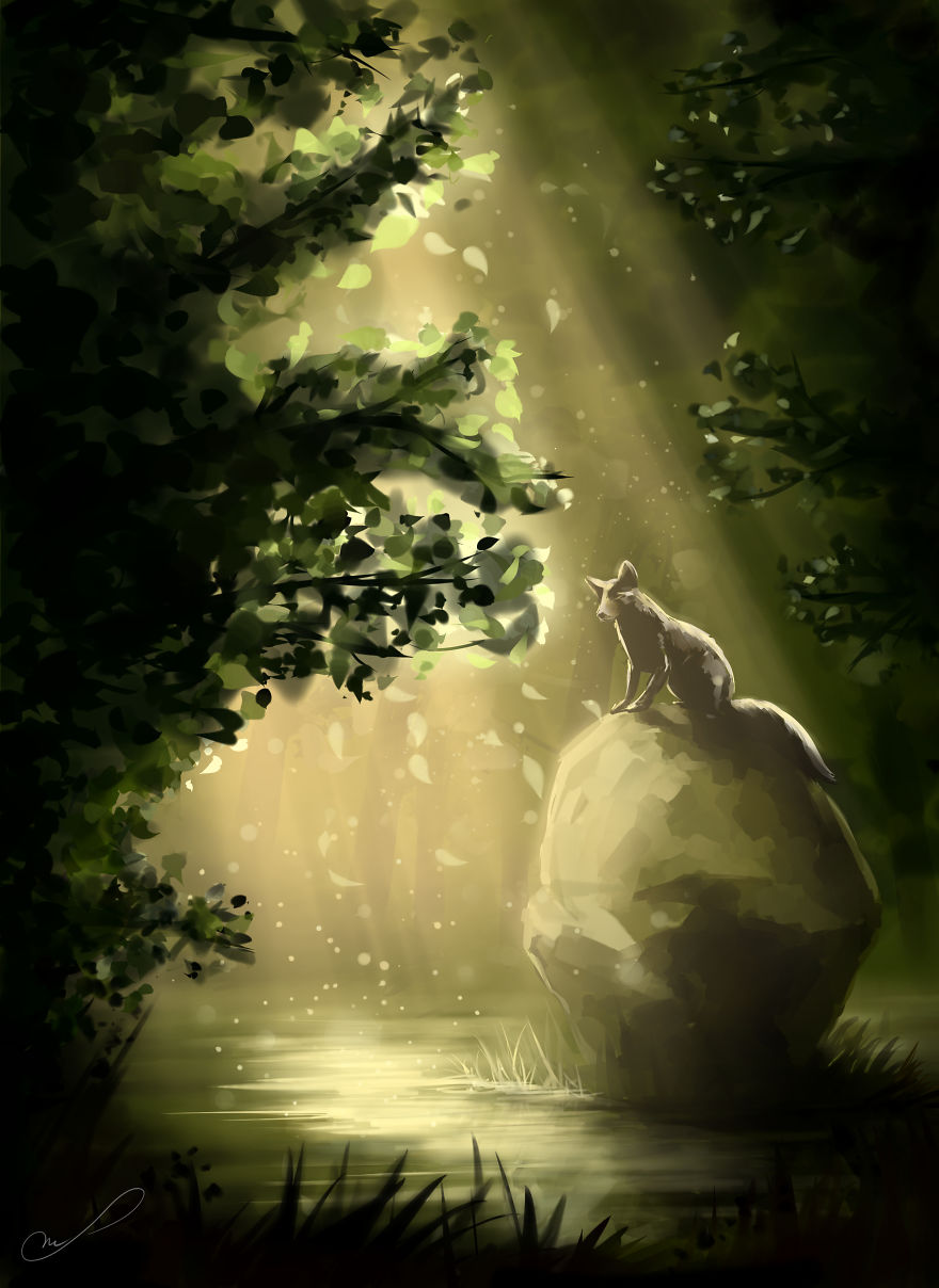 The Results Of Drawing Foxes For 8 Years The Results Of Drawing Foxes For 8 Years