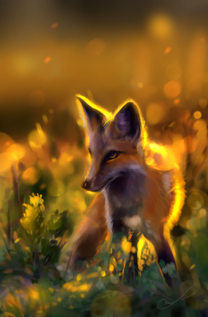 The Results Of Drawing Foxes For 8 Years