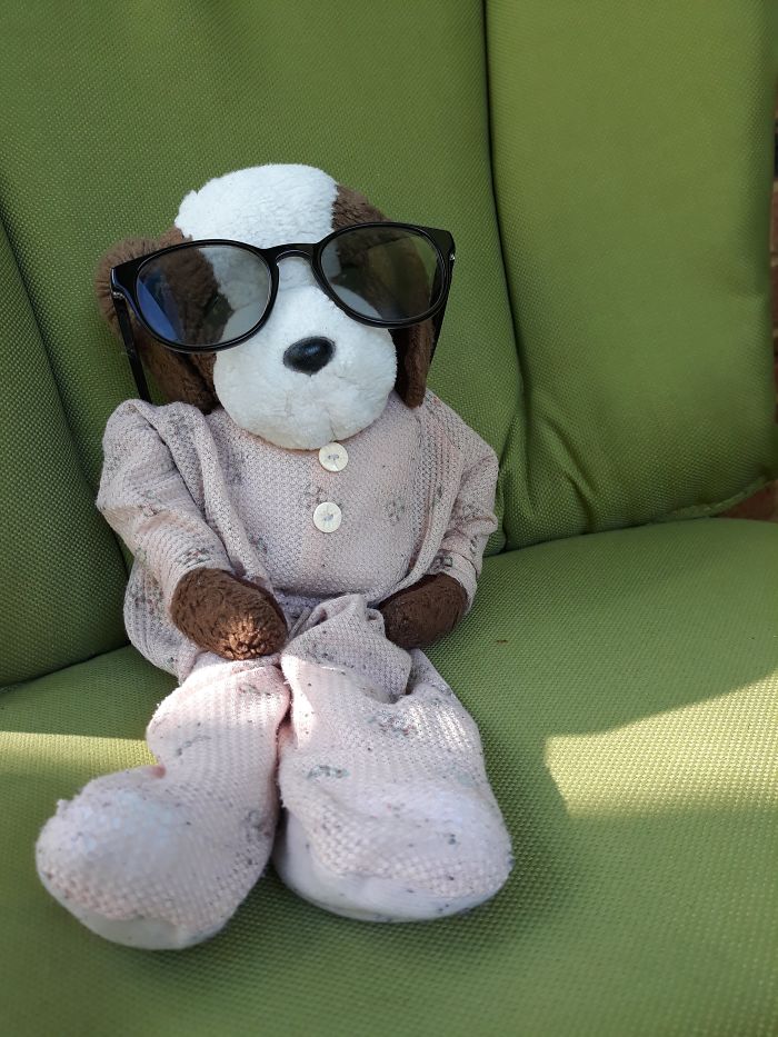 Meet PJ. He Was Given To Me By My Nan When I Was Six Not Long Before She Passed Away. He Will Be 20 Years Old Next Year