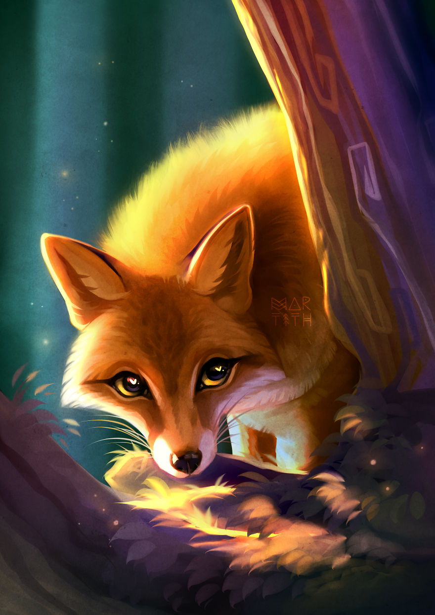 The Results Of Drawing Foxes For 8 Years