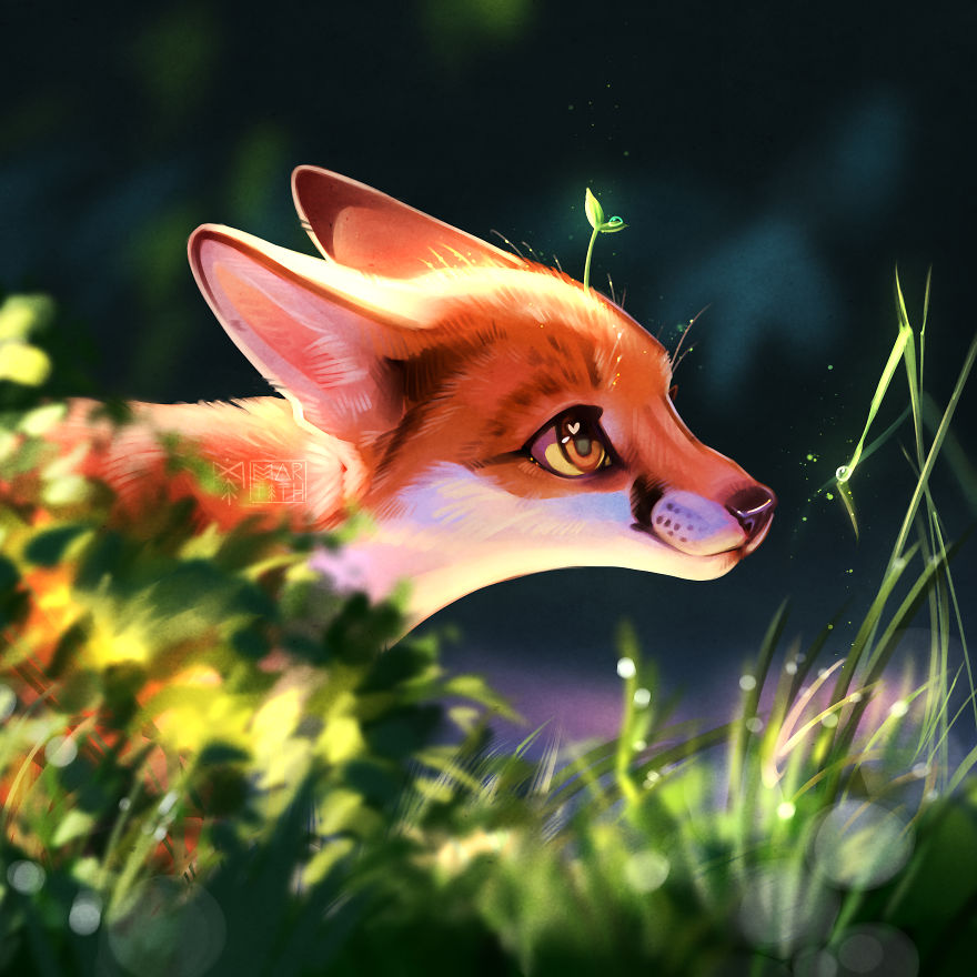 The Results Of Drawing Foxes For 8 Years The Results Of Drawing Foxes For 8 Years