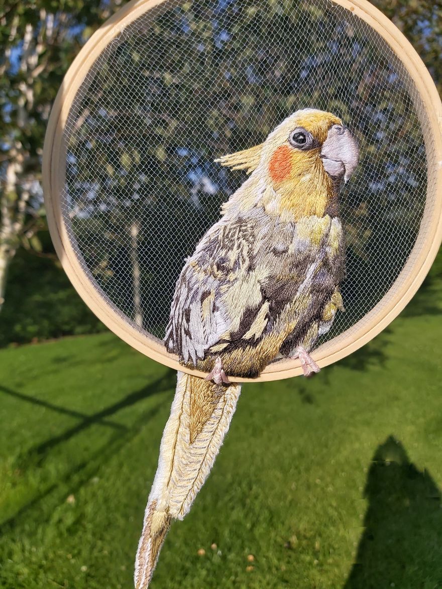 Real Birb Or Art? Real Birb Or Art?