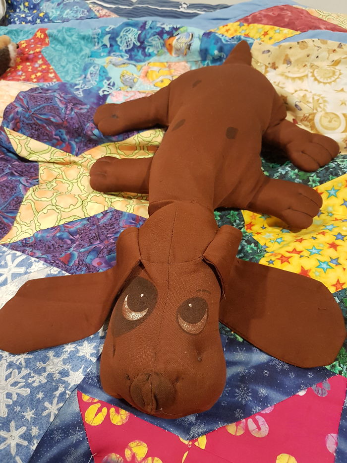 This Is Dogga, She Is 35 Years Young, And Has Been With Through Thick And Thin Since Birth